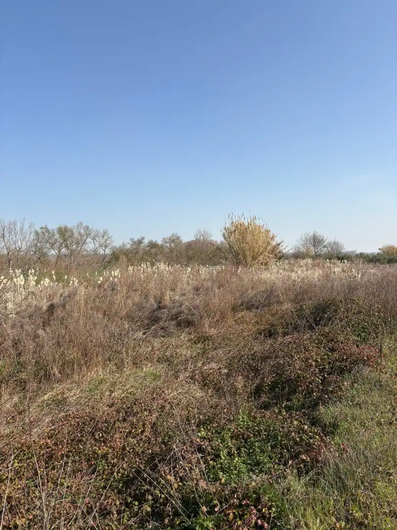 Rural land for sale in Agoncillo, imagen 4