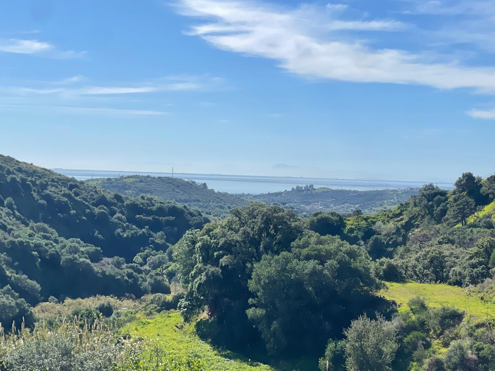 Vista exterior de Finca rústica en venda en Estepona amb Jardí privat i Terrassa