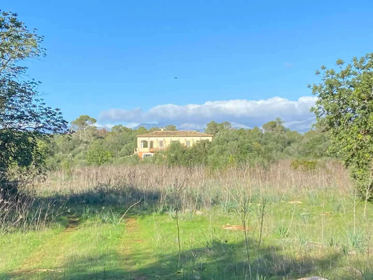 Maison rustique à vendre à Sineu, imagen 28