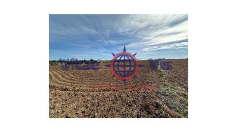PARCELA PARA NAVE DE POLLOS EN LA PACA, immagine 4
