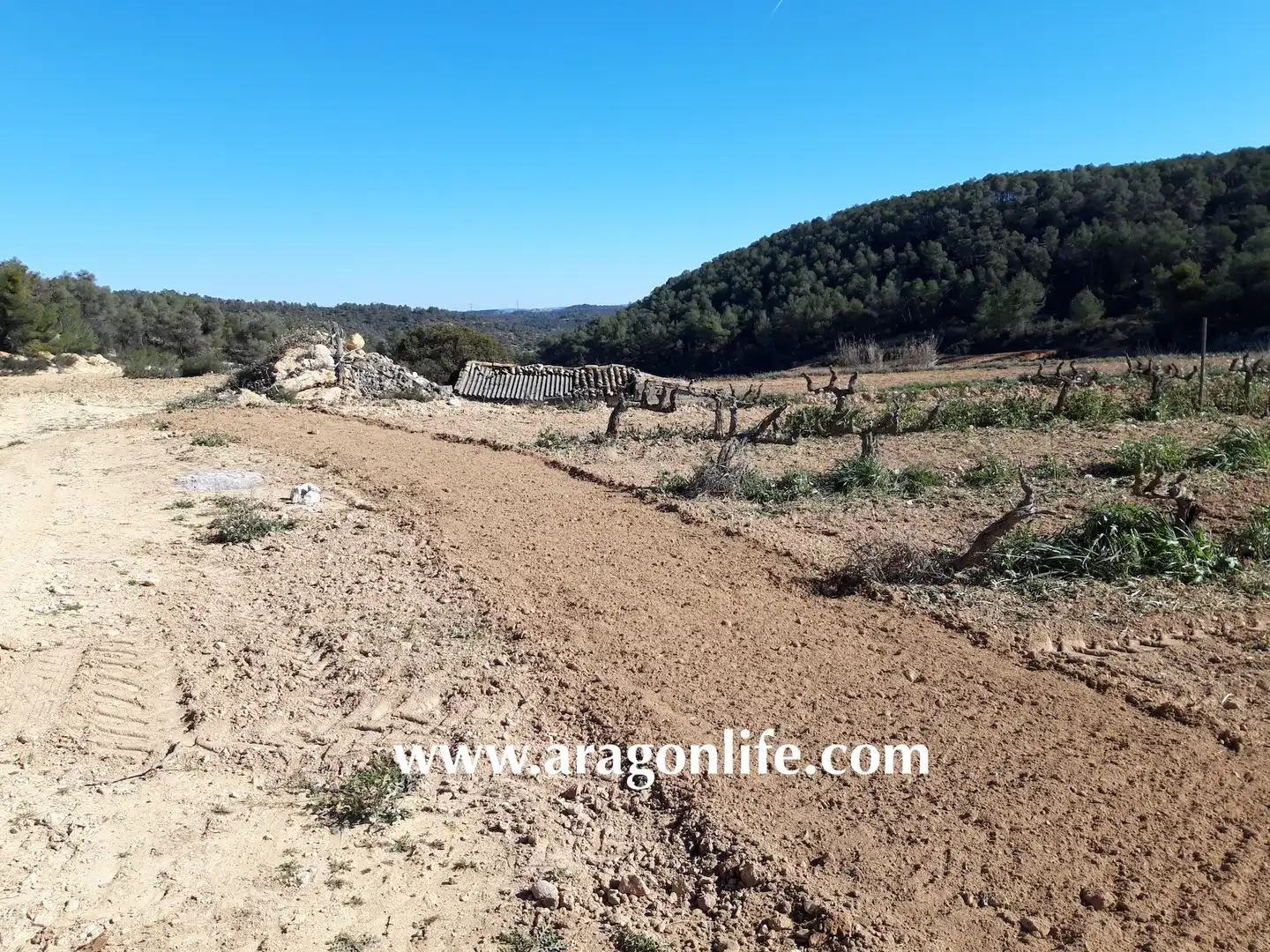 Finca rústica en venta en Nonaspe