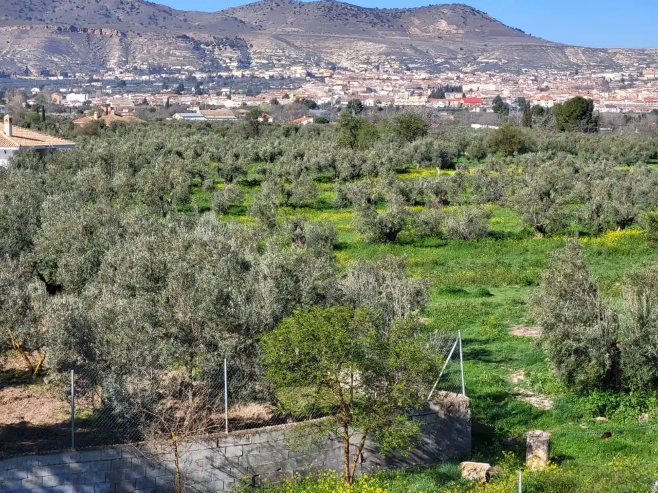 Casa o xalet en venda en Baza amb Terrassa