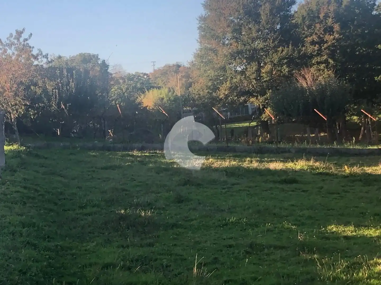 Terreni e lotti in vendita a Nogueira de Ramuín, imagen 16
