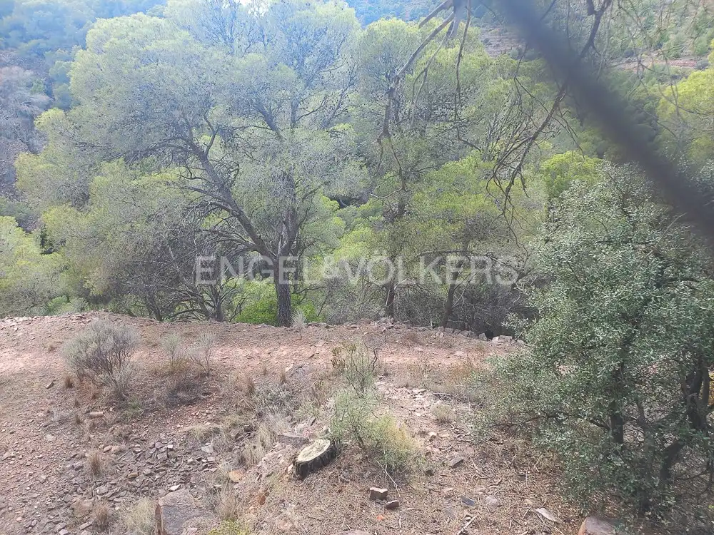 Lands and plots for sale in Serra, imagen 13