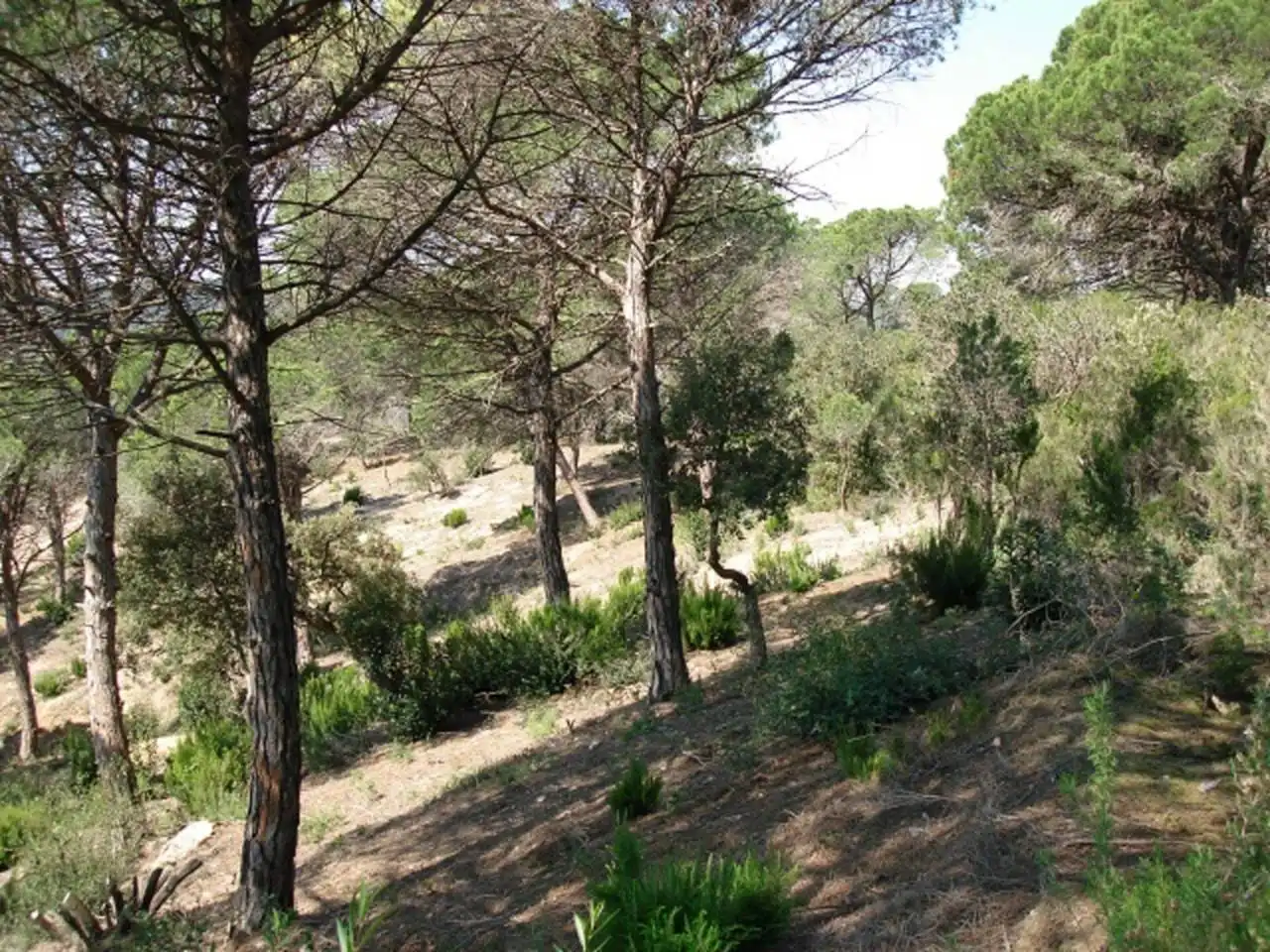 Terreno residencial en venta en Calle xops