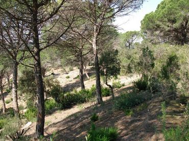 Terreno residencial en venta en Calle xops