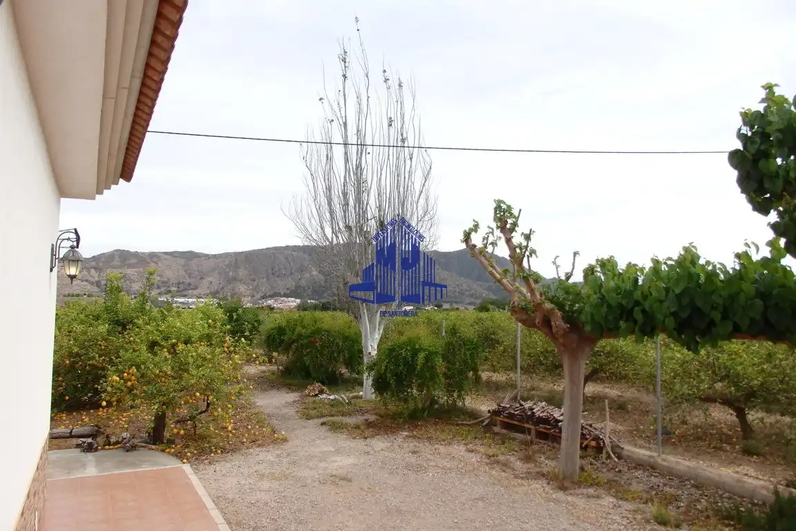 Vista exterior de Casa o chalet en venta en Murcia con Jardín privado, Terraza y Horno