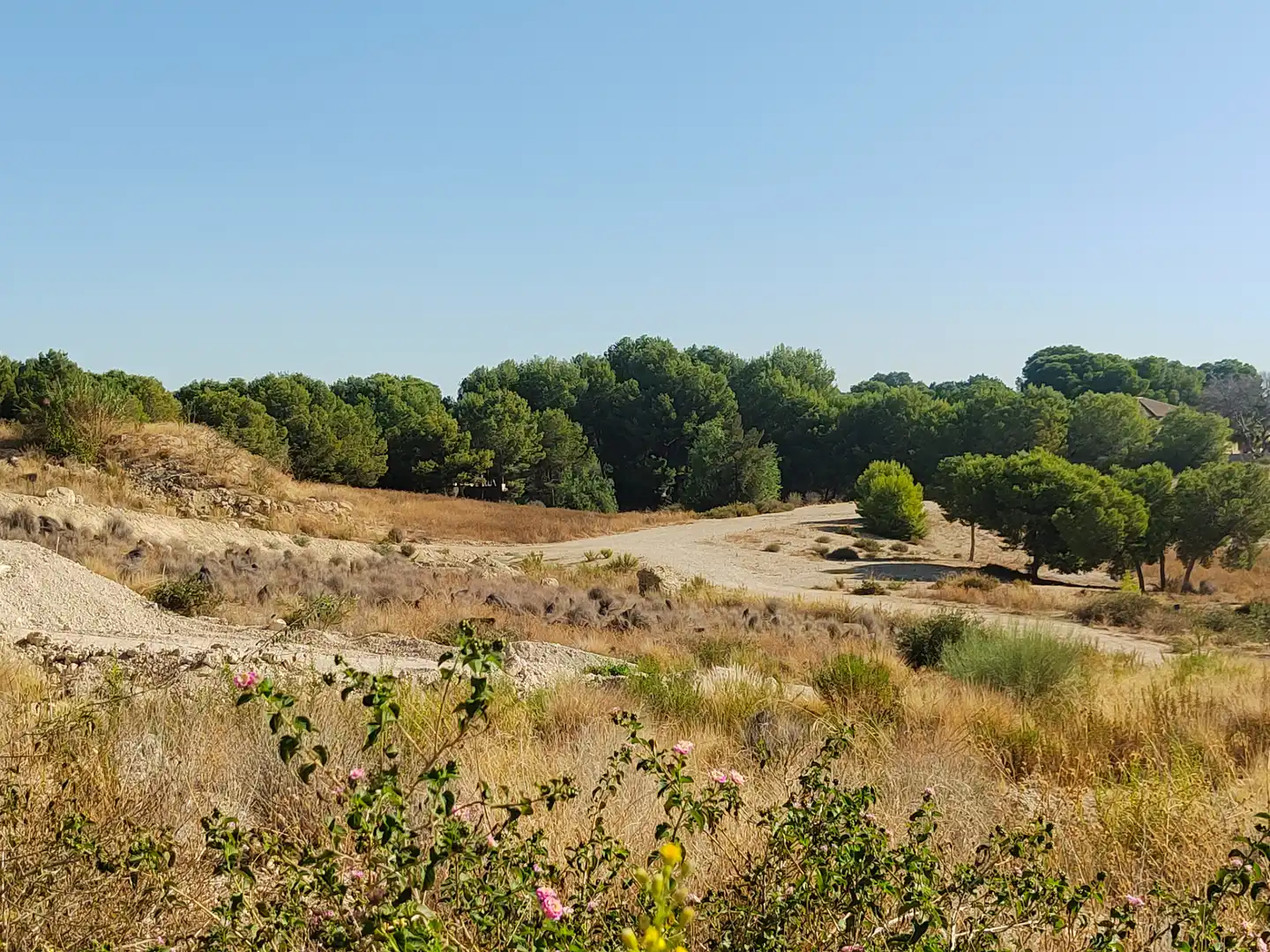 Wohnbaugrundstück zum Verkauf in Las Torres de Cotillas, imagen 2