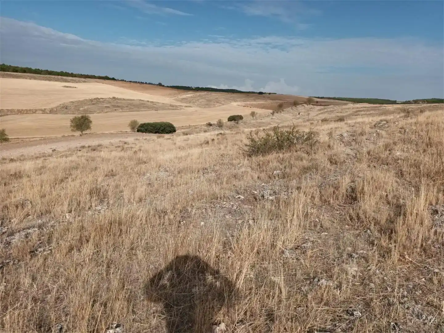 Terreno en venta en Uclés