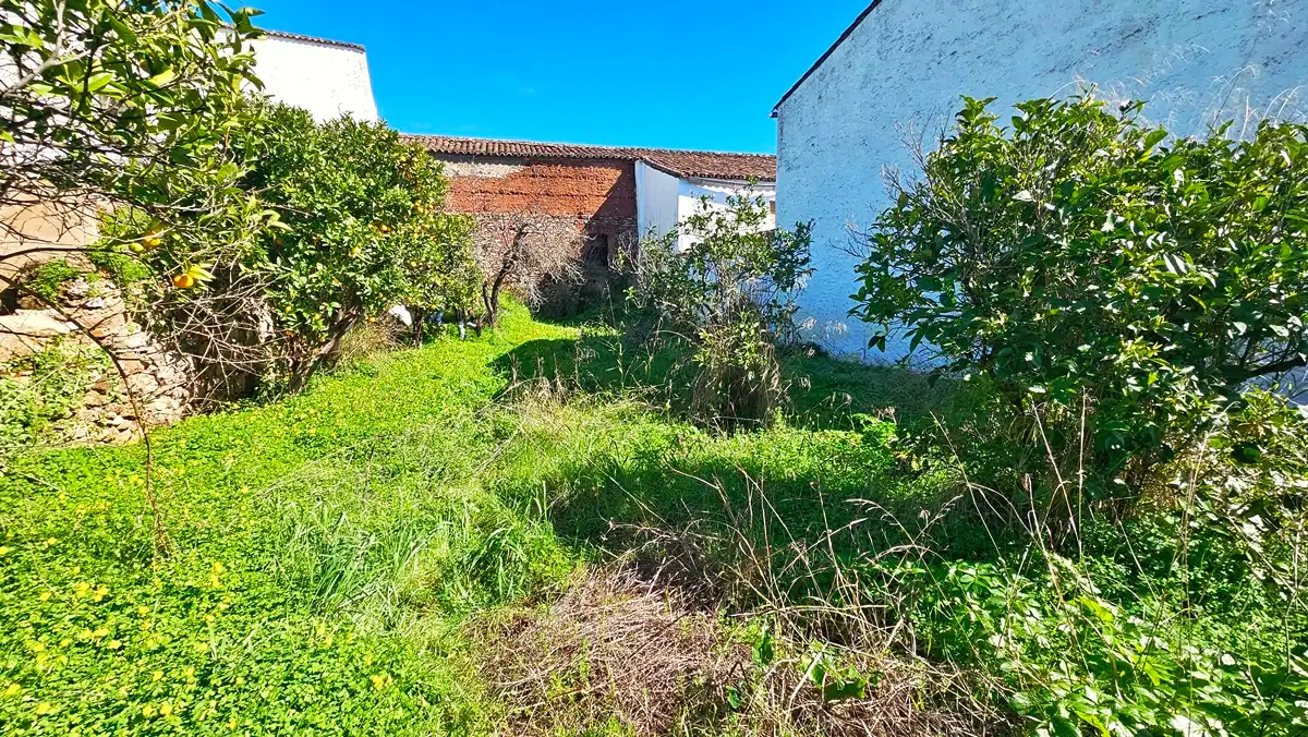 Casa o chalet en venta en Cañaveral de León