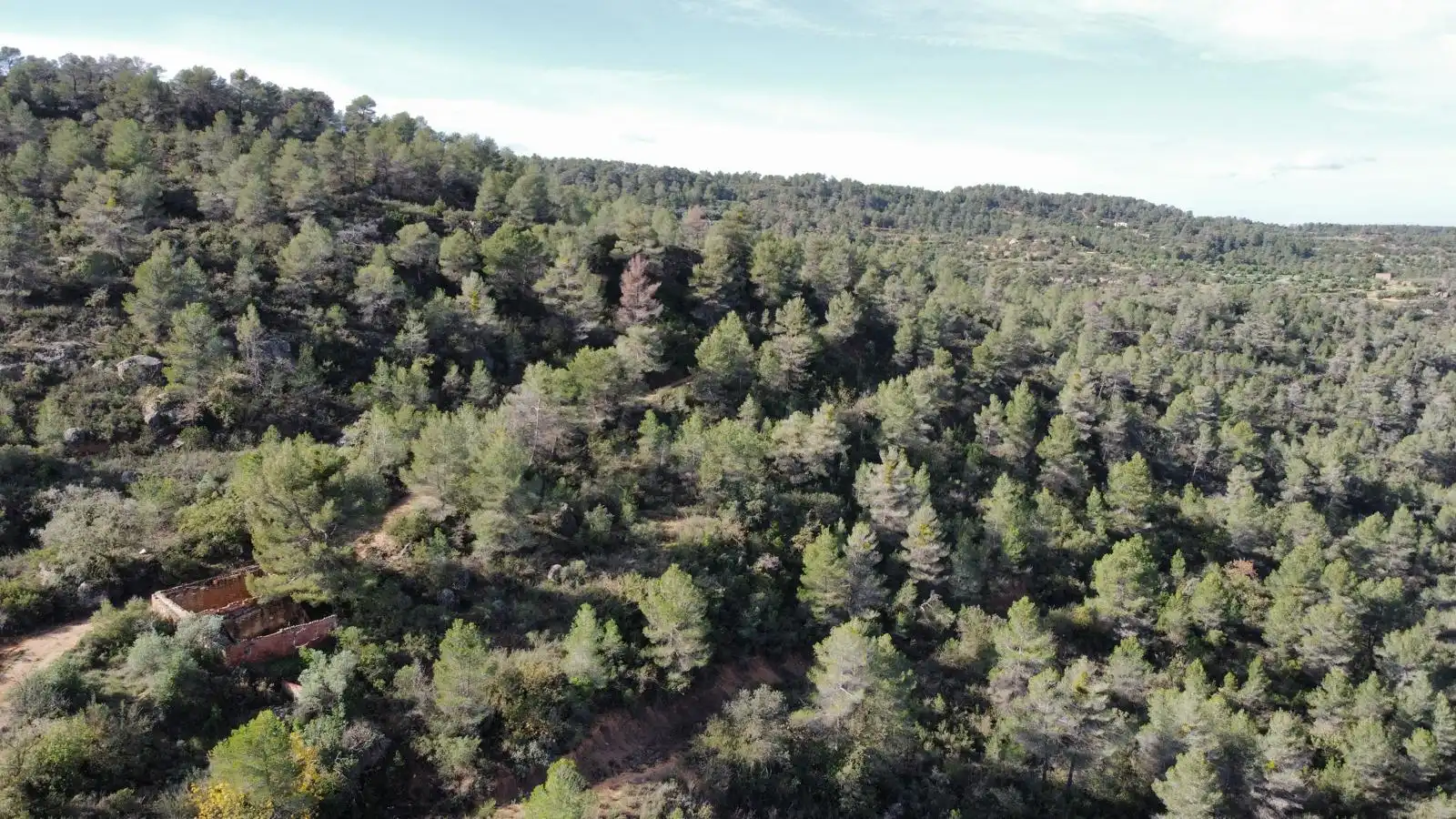Terreno rustico in vendita a Cervià de Les Garrigues, imagen 4