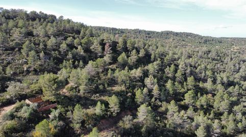 Terreno en venta en Tapiades, imagen 4