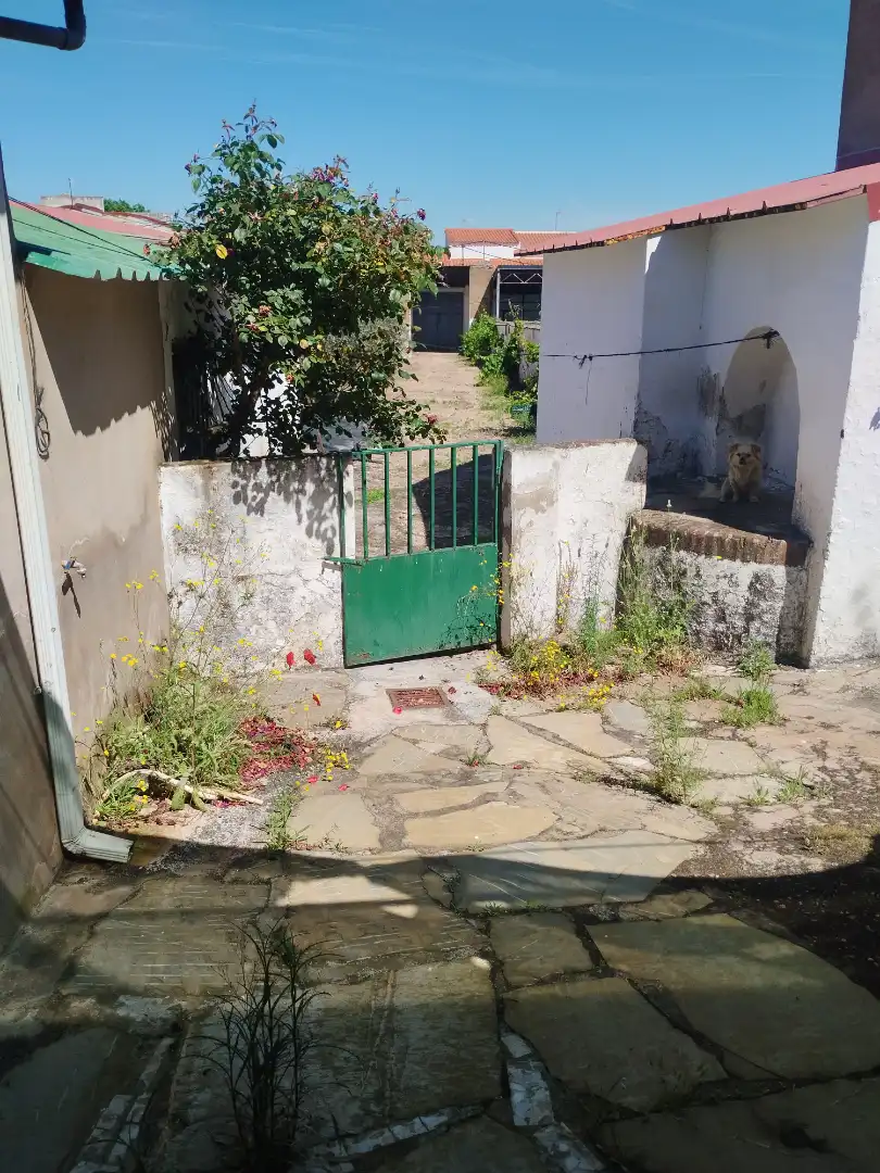 Jardín de Casa o chalet en venta en La Albuera con Jardín privado, Trastero y Amueblado