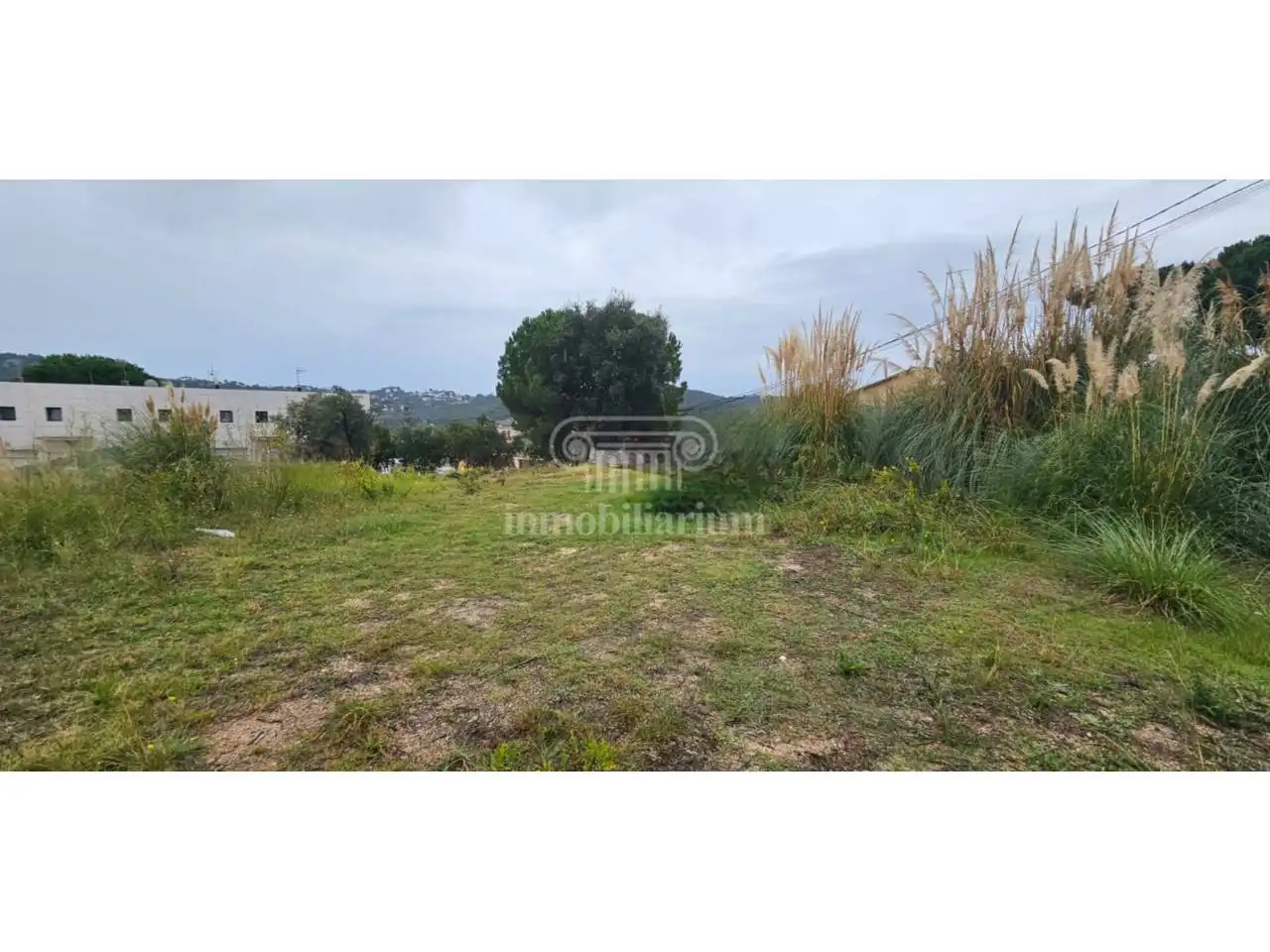 Rural land for sale in Violeta