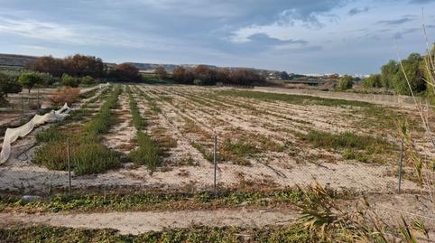Photo 2 of Land for sale in Partida la Capitana, El Edén, Alicante