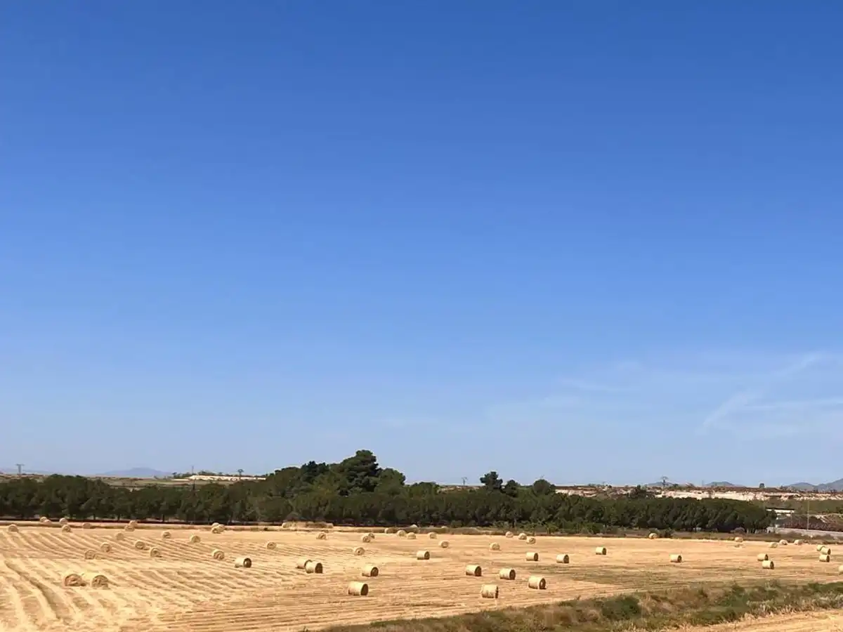 Terreno en venta en Murcia