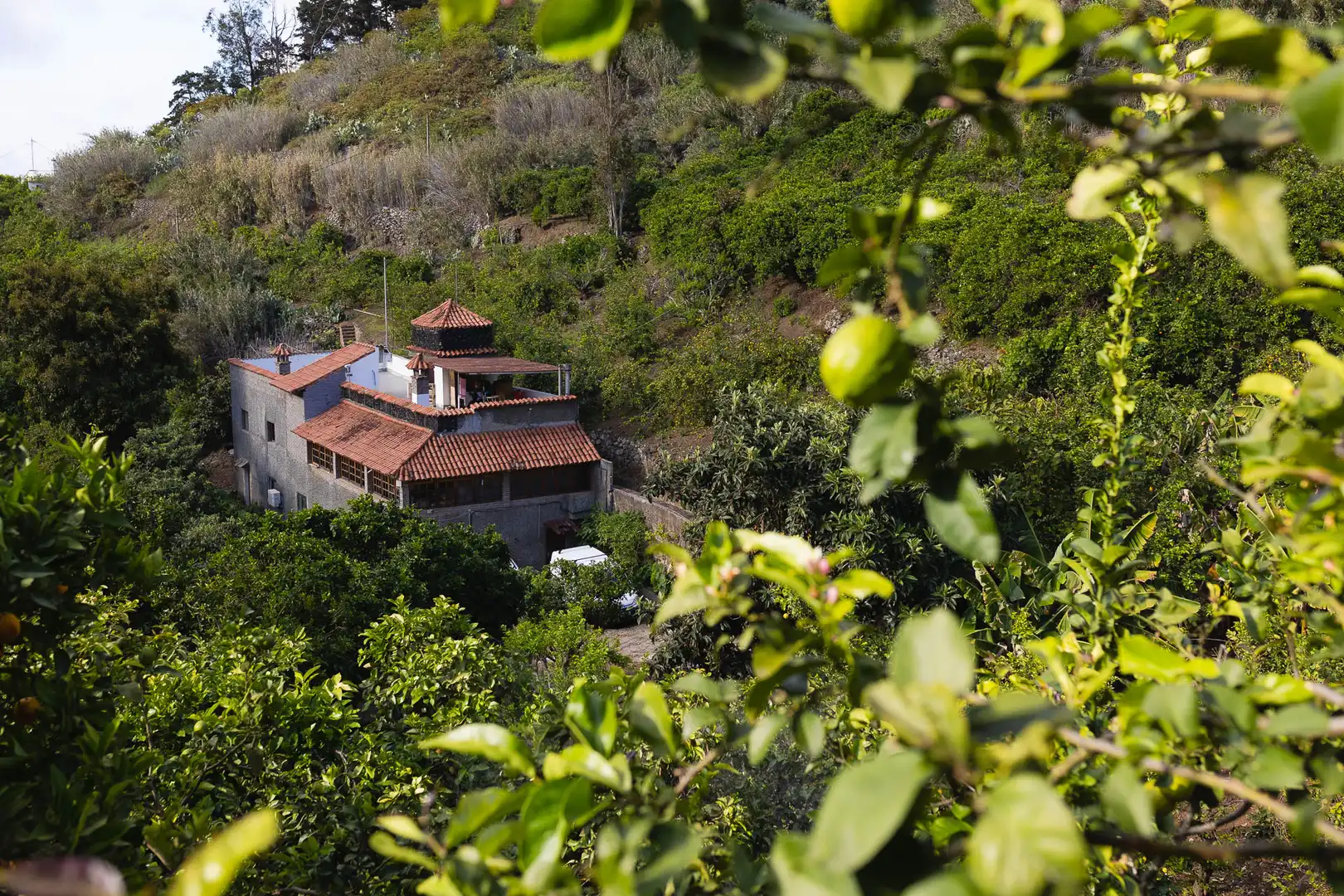 Finca rústica en venda a Carretera las Madres, Firgas