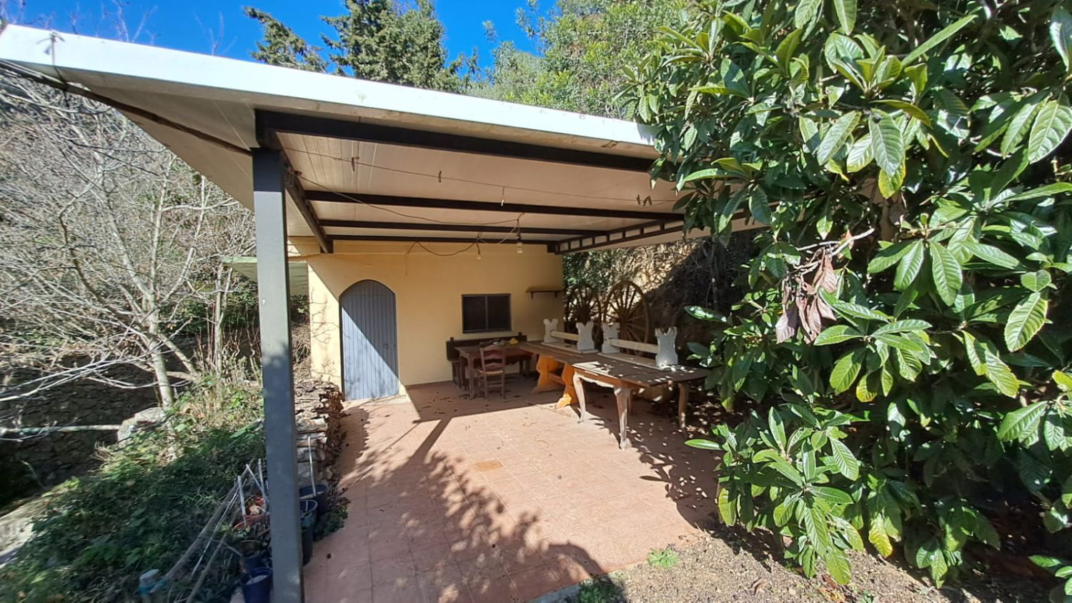 Garden of Country homes for sale in Castellvell del Camp