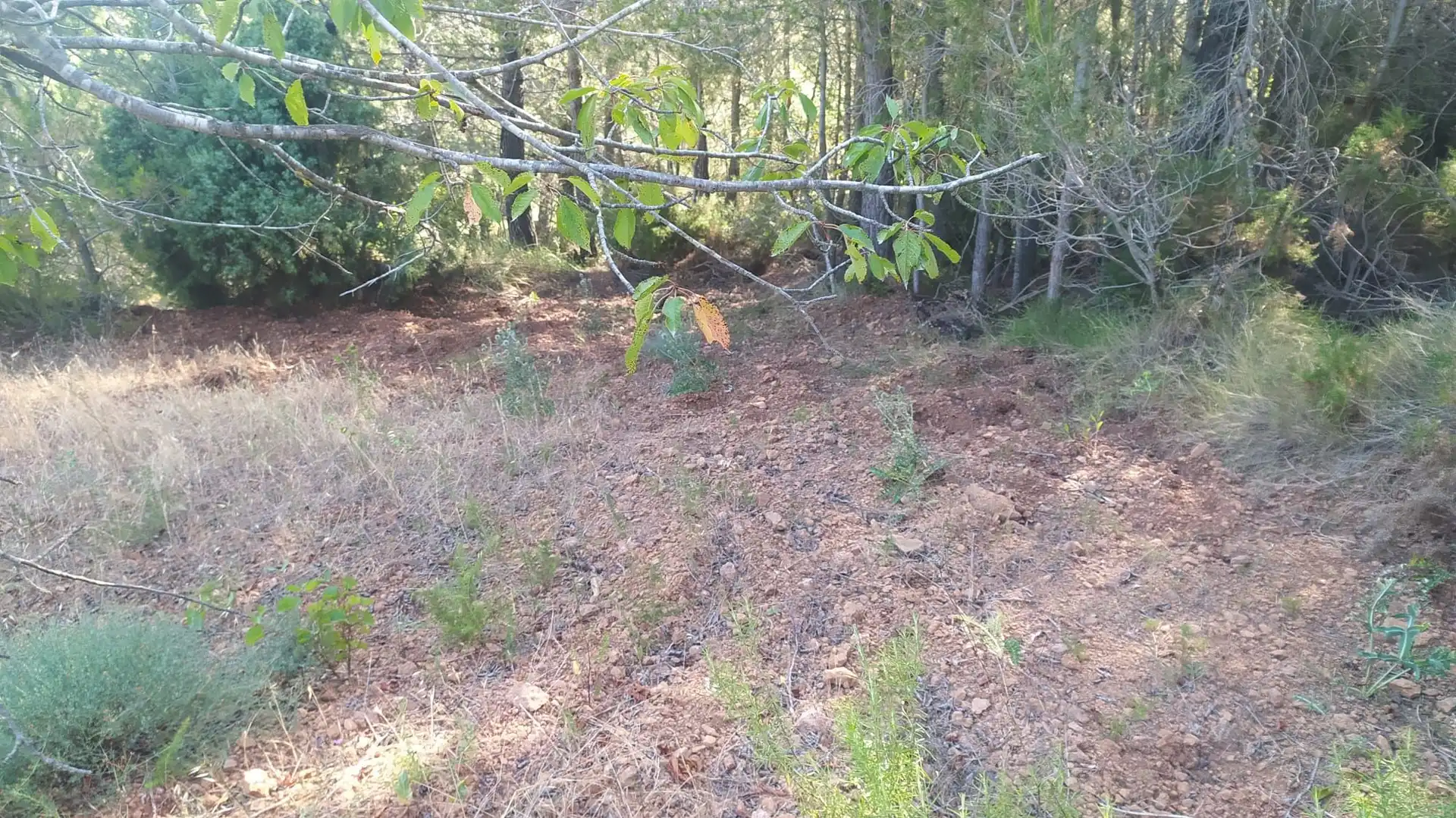 Residential land for sale in Gátova