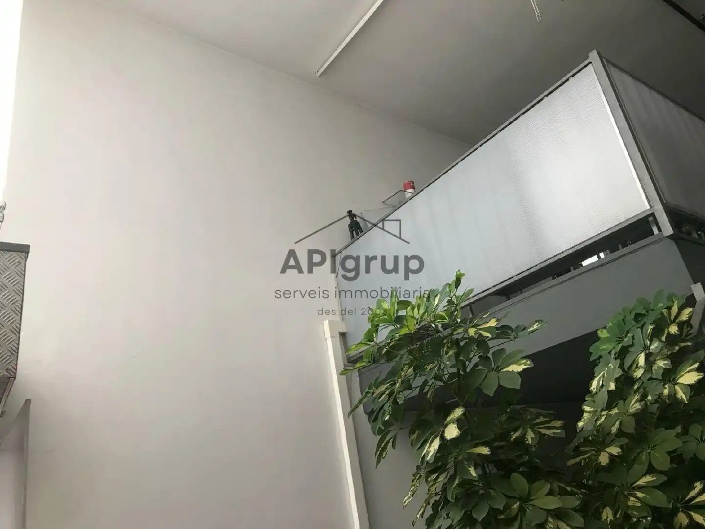 Business premises to rent in Centre - Sant Oleguer, imagen 19