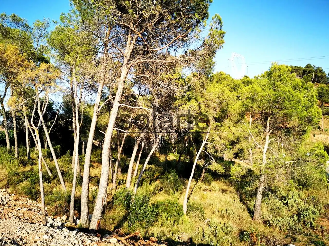 Terreni e lotti in vendita a calle de Salvador Dalí, imagen 18