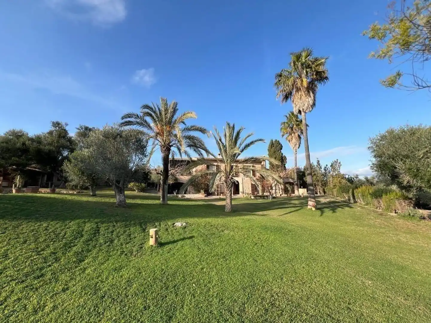Jardín de Casa o chalet en venta en Vilafranca de Bonany con Aire acondicionado, Calefacción y Terraza