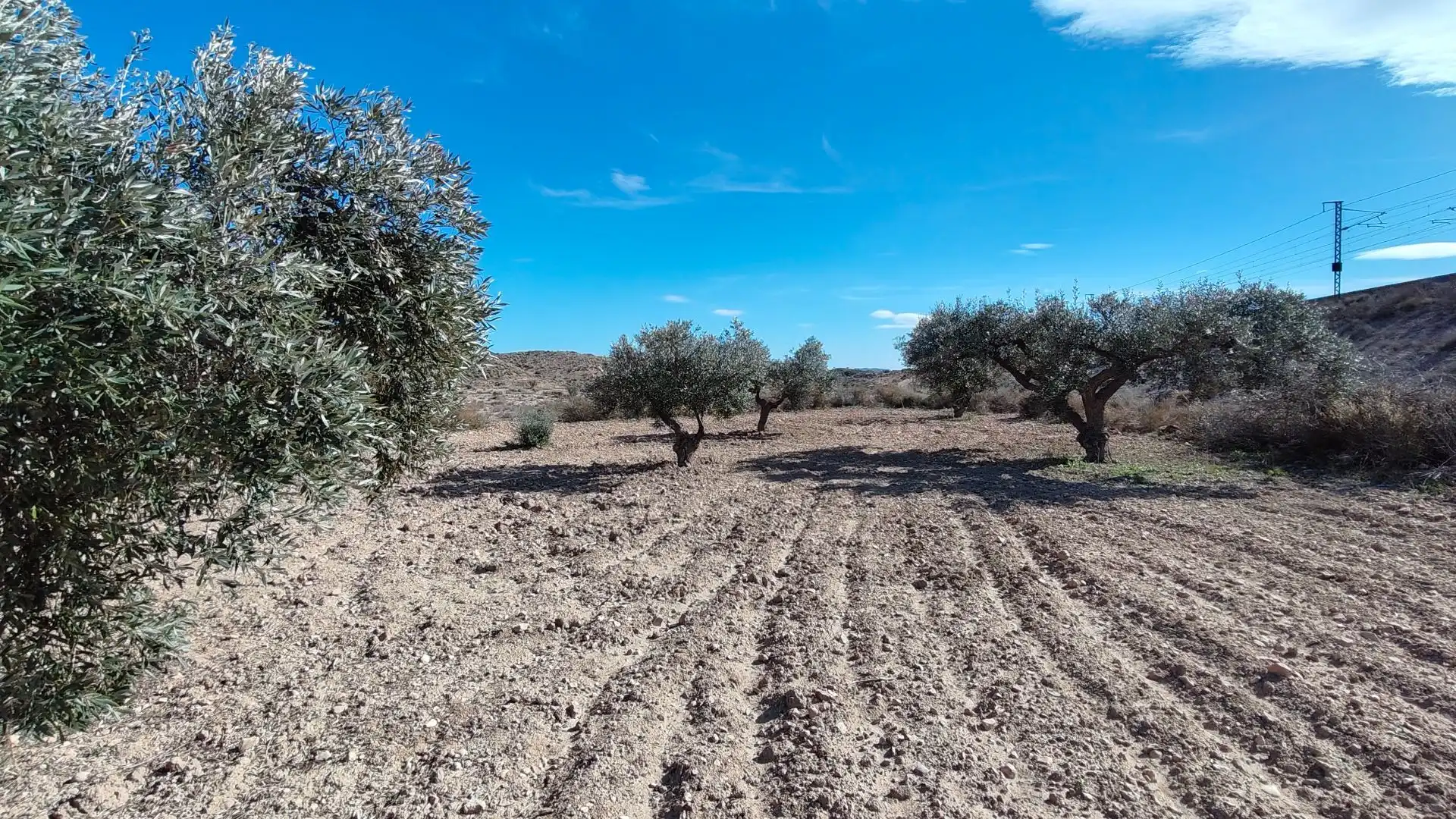 Terreno rustico in vendita a Campo Alto - Club de Campo, imagen 14