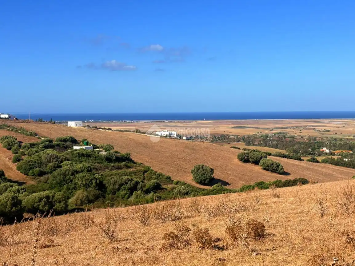 Terreno rustico in vendita a Vejer, imagen 5
