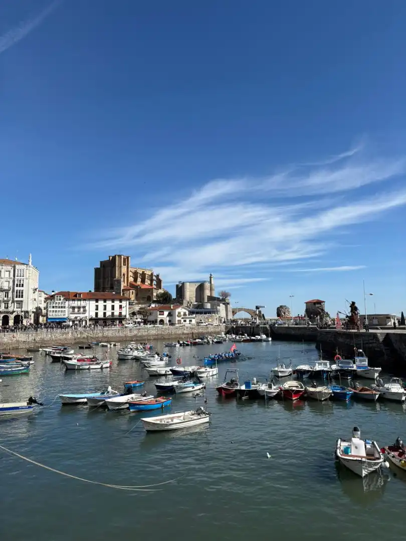 Flat for rent in Cotolino