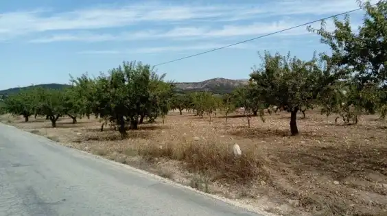 Lands and plots for sale in Paraje Ardal, imagen 8