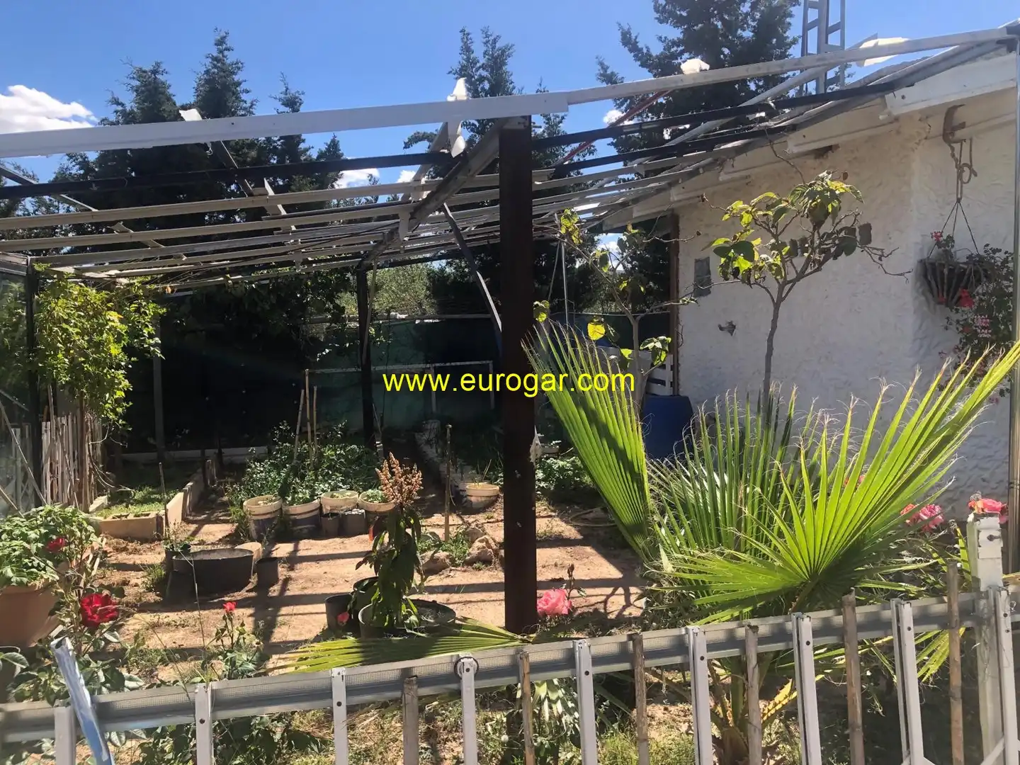 Jardín de Casa o chalet en venta en Chiva con Piscina