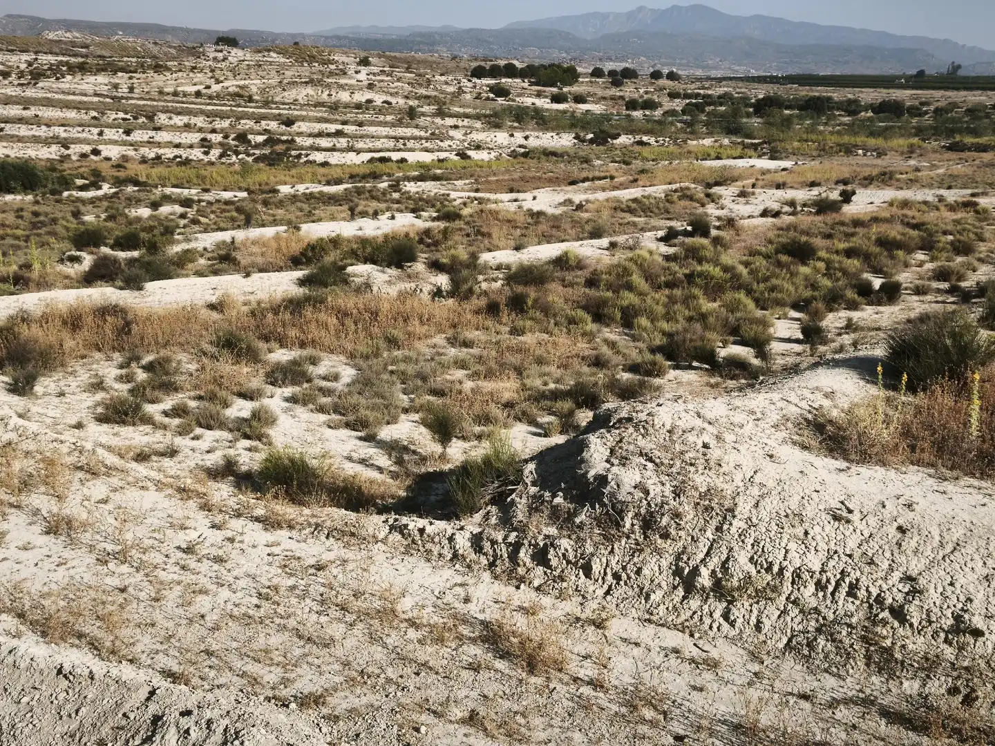 Terreni e lotti in vendita a Campos del Río, imagen 10