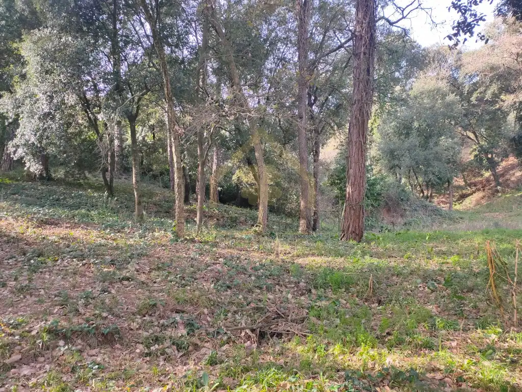 Residential for rent in Sant Pere de Vilamajor