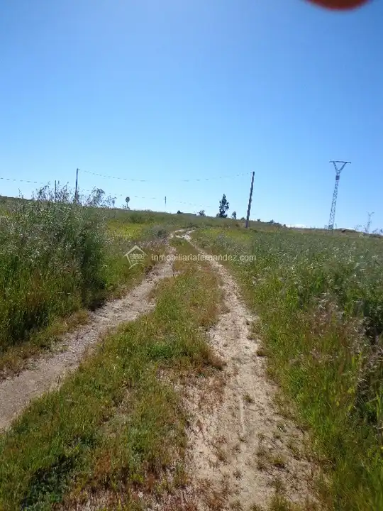 Terreni e lotti in vendita a Valdesalor - Rincón de Ballesteros, imagen 3