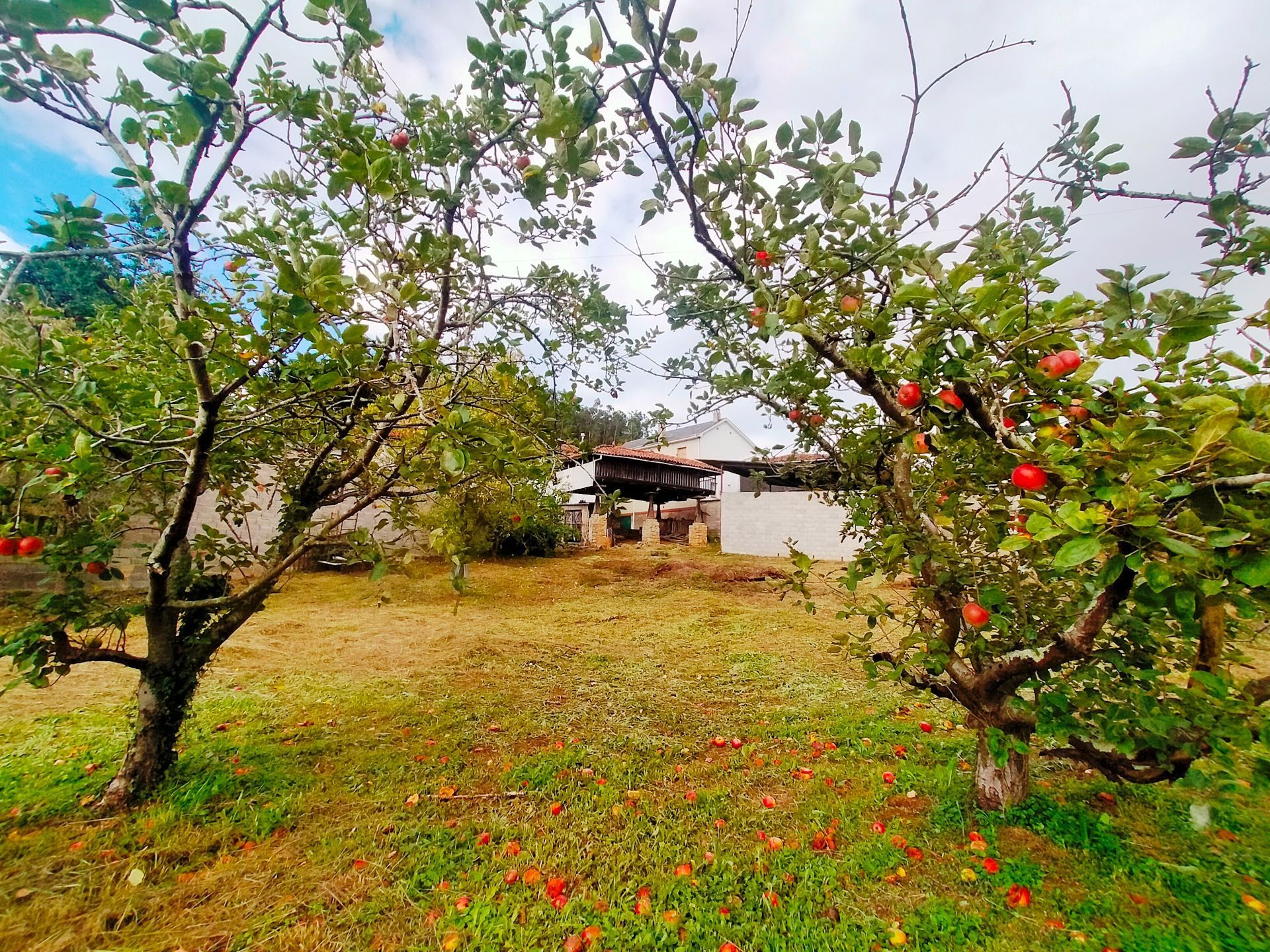 Finca rústica en venda a Pravia