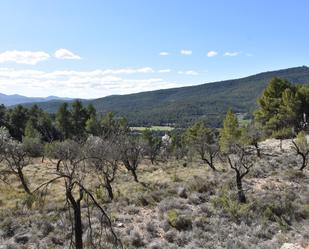 Grundstücke zum verkauf in Fuentespalda