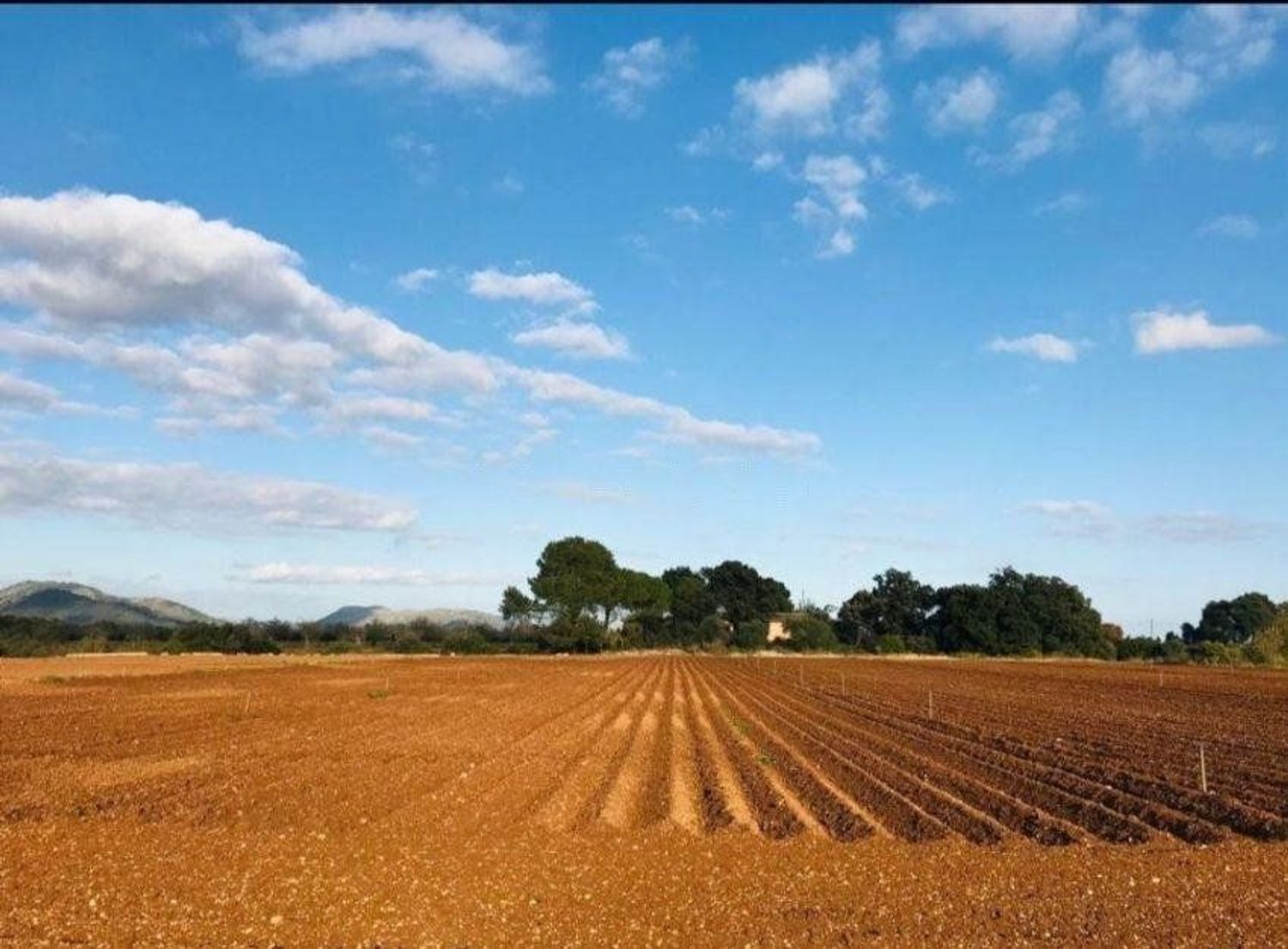 Residential for sale in Búger