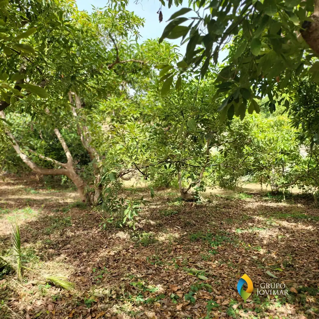 Terreno en venta en Motril  ciudad