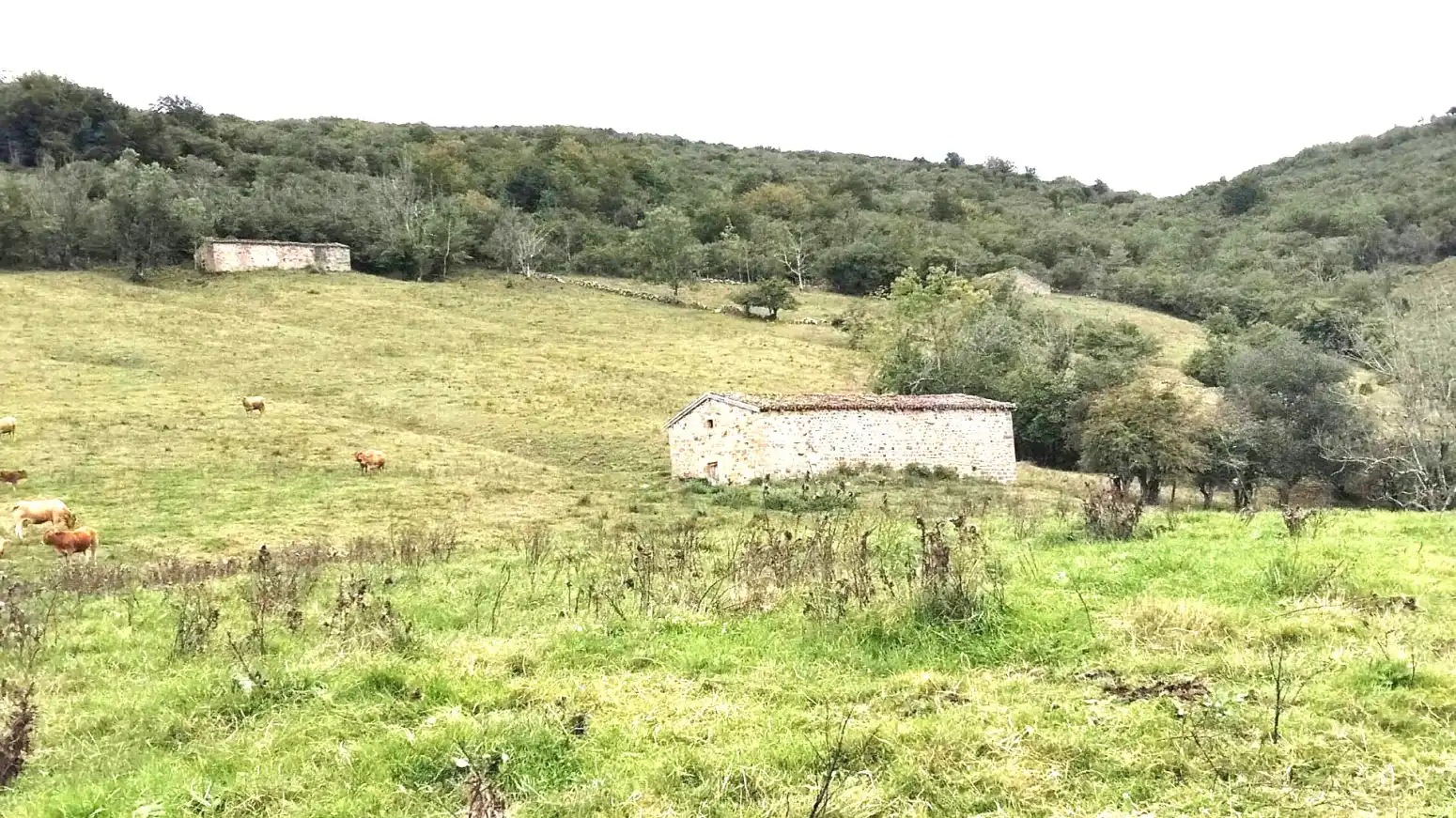 Casa con jardín en venta en San Sebastián de Garabandal - MATAZORRA, imagen 4