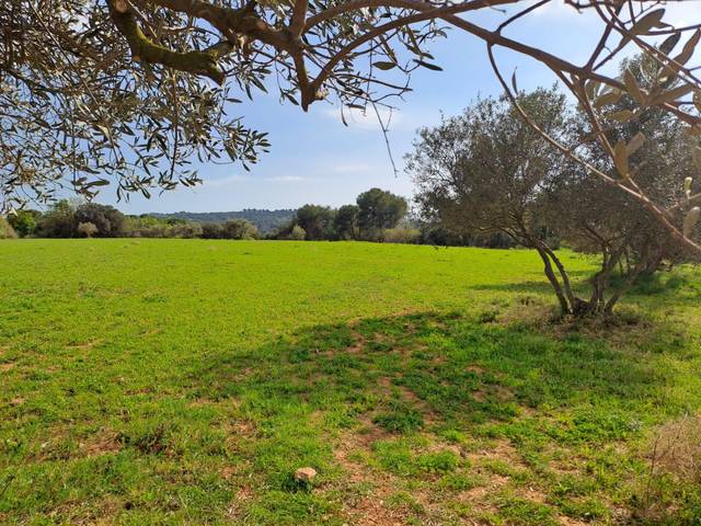 Terreno en Venta en Polígon Industrial Santa Margarida