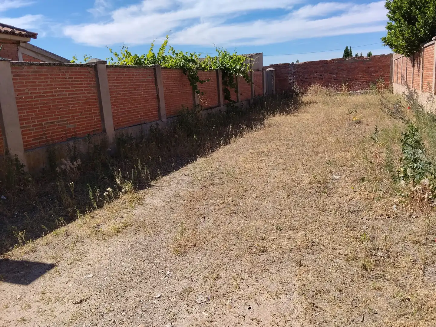 House with garden for sale in Calle Conde Vallellano, imagen 3