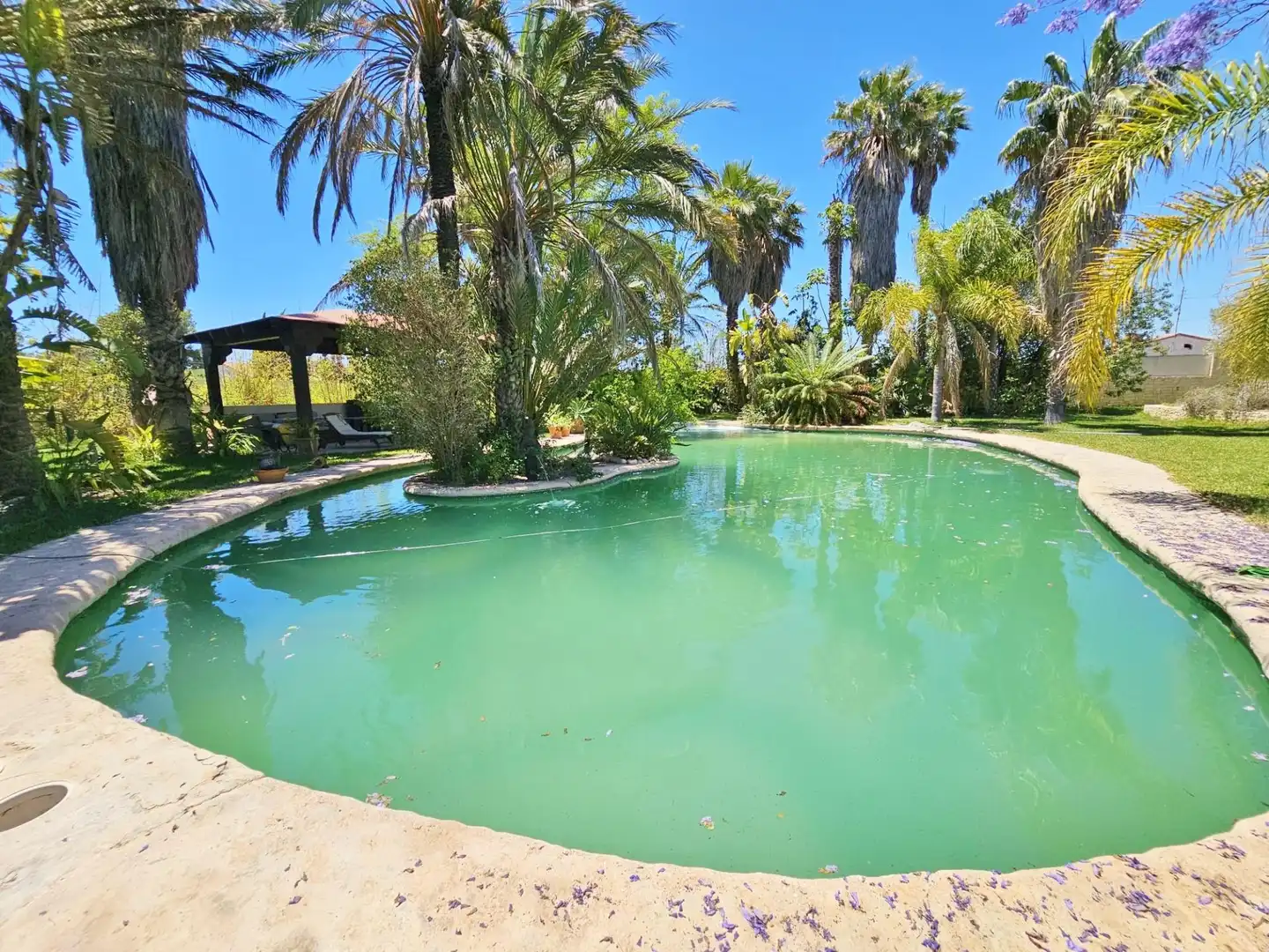 Piscina de Casa o xalet en venda en Elche / Elx amb Aire condicionat, Calefacció i Jardí privat