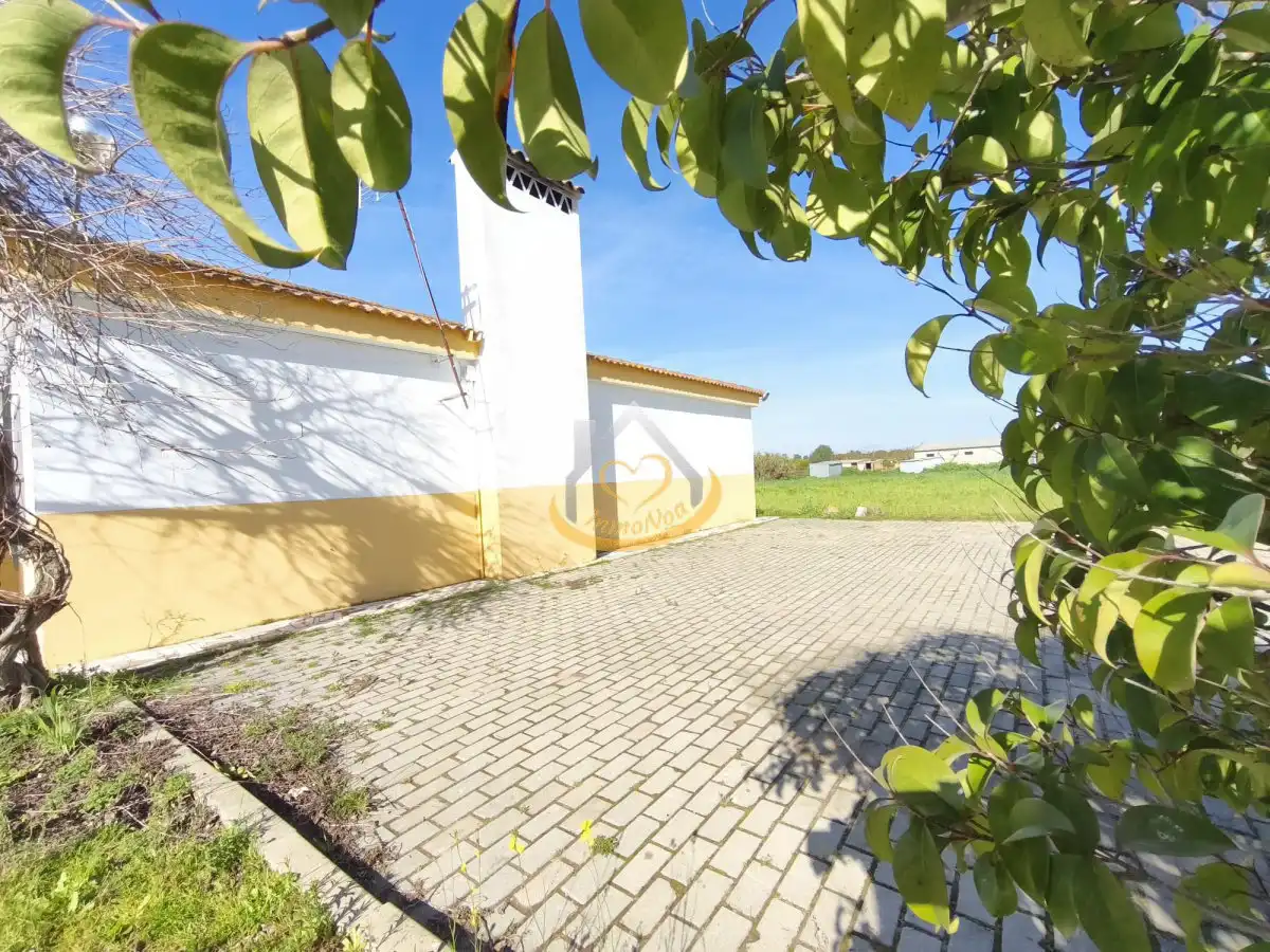 Terreni e lotti in vendita a Diseminado Diseminados 815, imagen 6