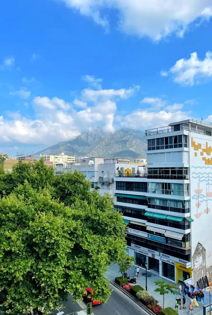 Apartment with pool for sale in Marbella Centro, imagen 9