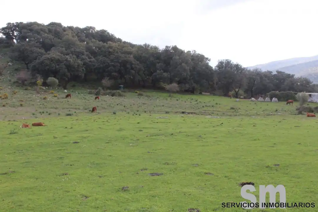 Terreni e lotti in vendita a Cortes de la Frontera, imagen 18