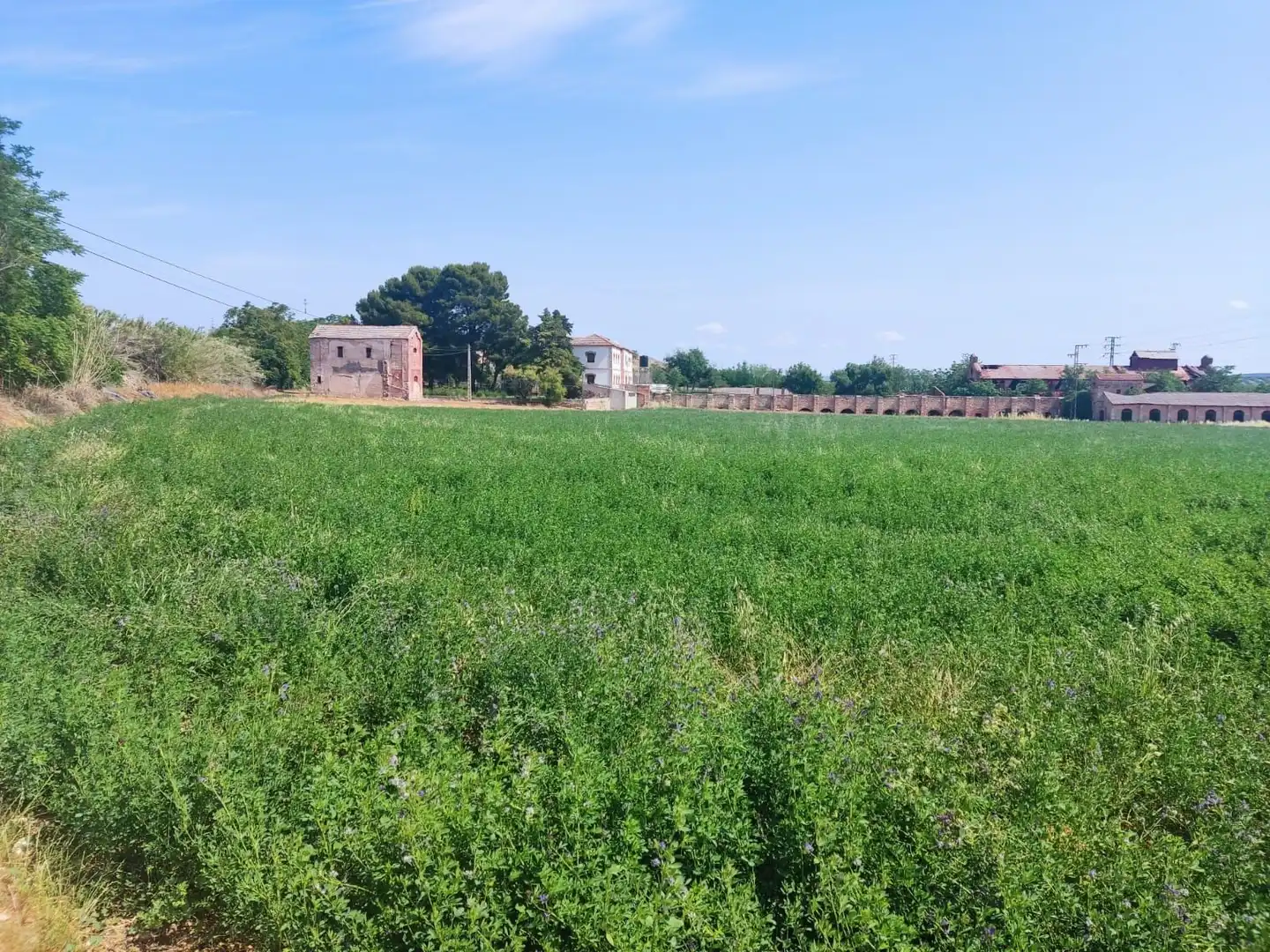 Finca rústica en venta en Jaén