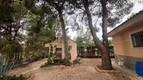 Jardí de Casa o xalet en venda en Tibi amb Terrassa i Alarma