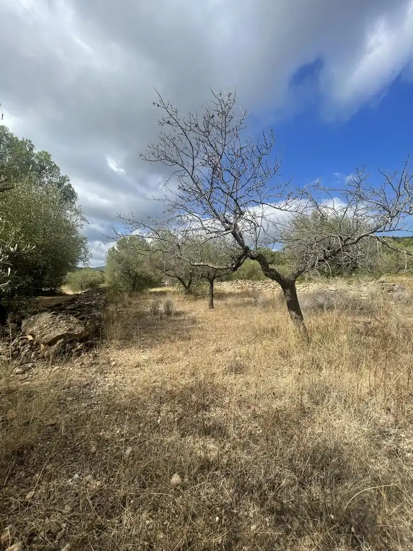 Terreno rústico en venta en L'Ametlla de Mar pueblo, imagen 5