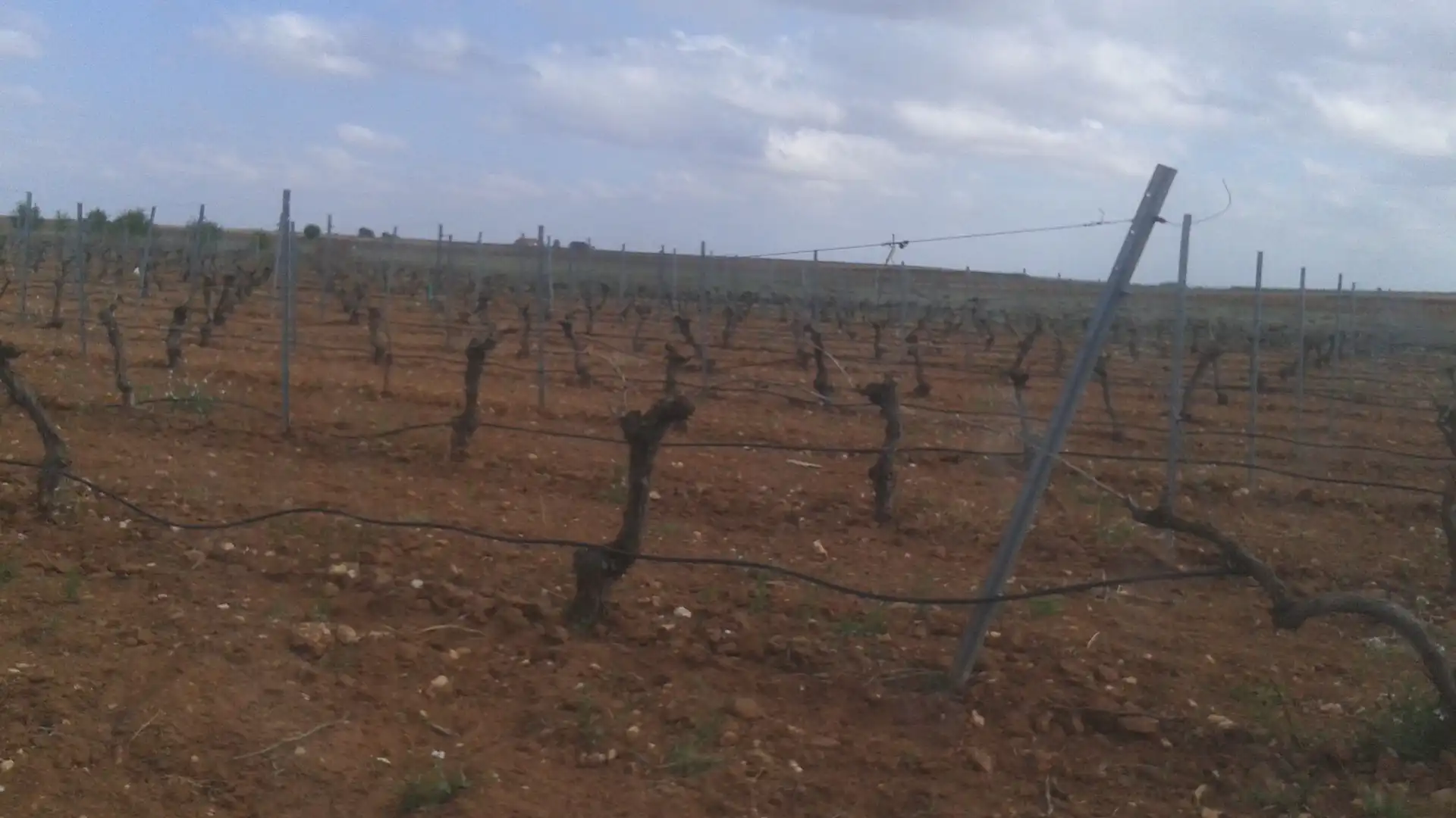 Terrenys i solars en venda a Las Mesas, imagen 8