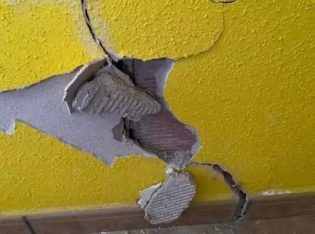 Maison rustique avec piscine à vendre à Partida PINO EL, imagen 29